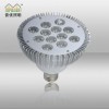 Sl(f) 12w LED par38